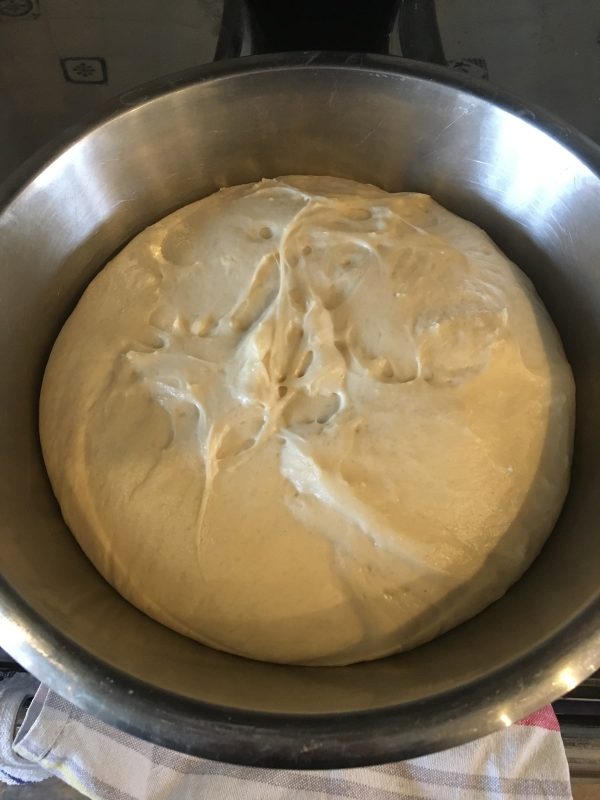First Prove Doughnuts