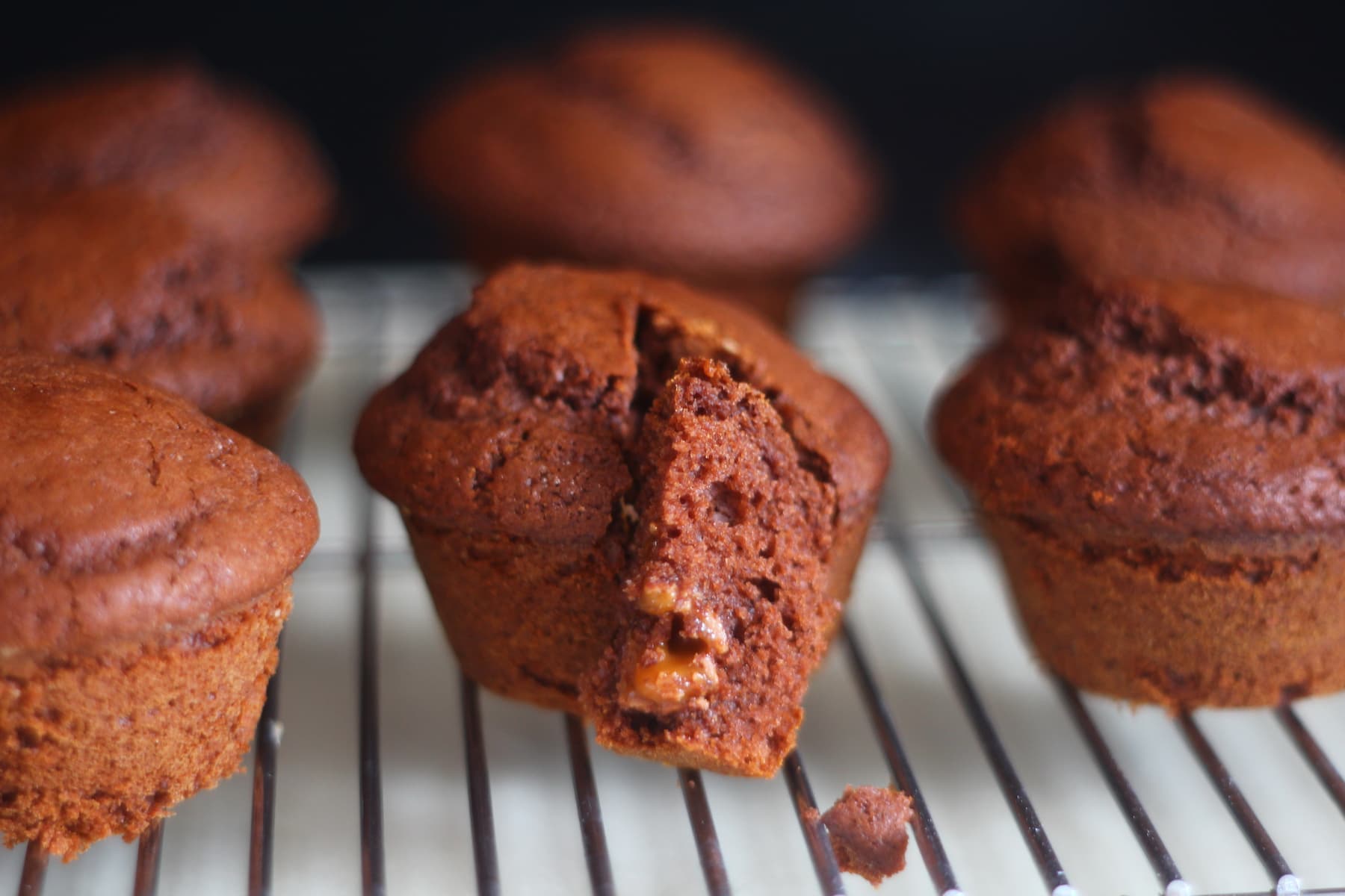 Chocolate Muffins. Chocolate Muffins.