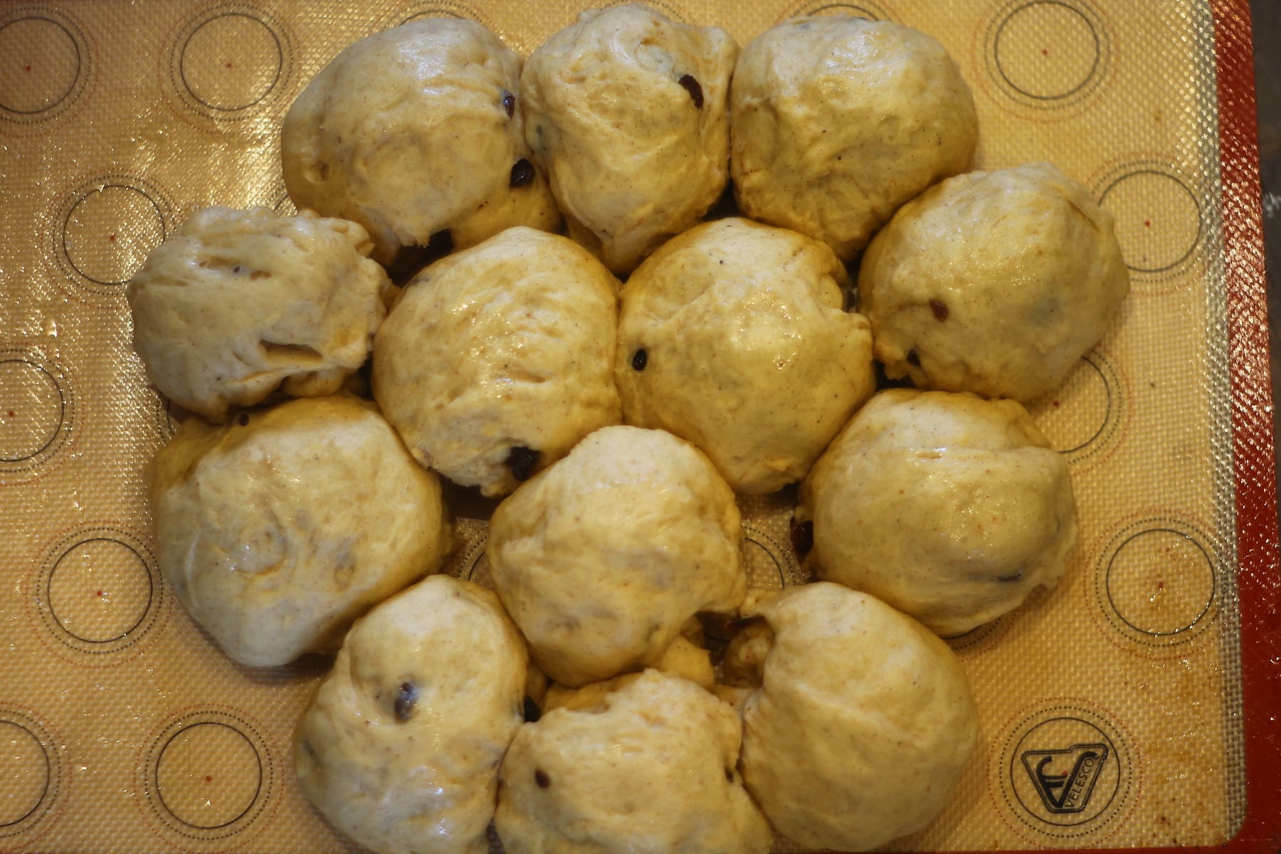 Hot Cross Buns Finished Second Prove