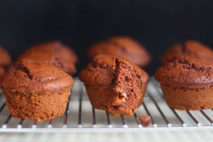 chocolate muffins on a wire rack