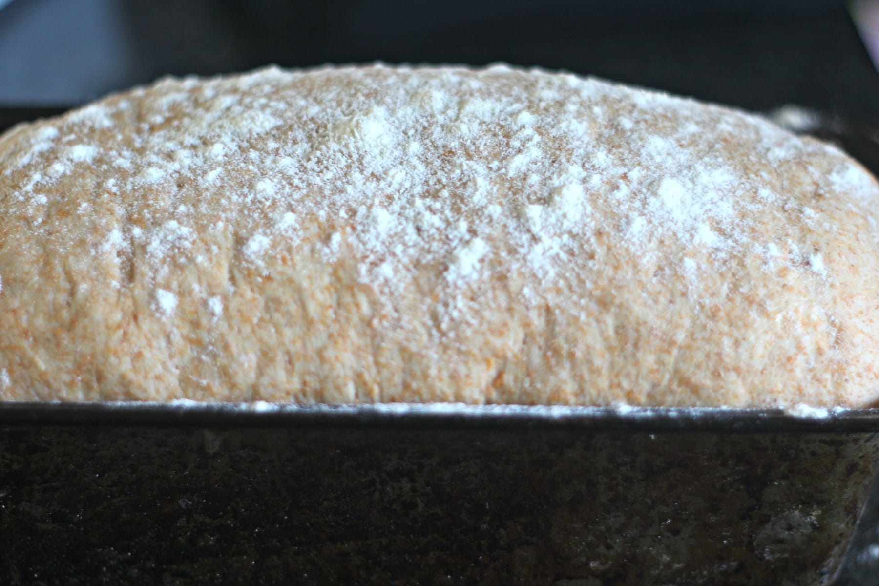 Wholemeal Bread Dough Wholemeal Bread Dough