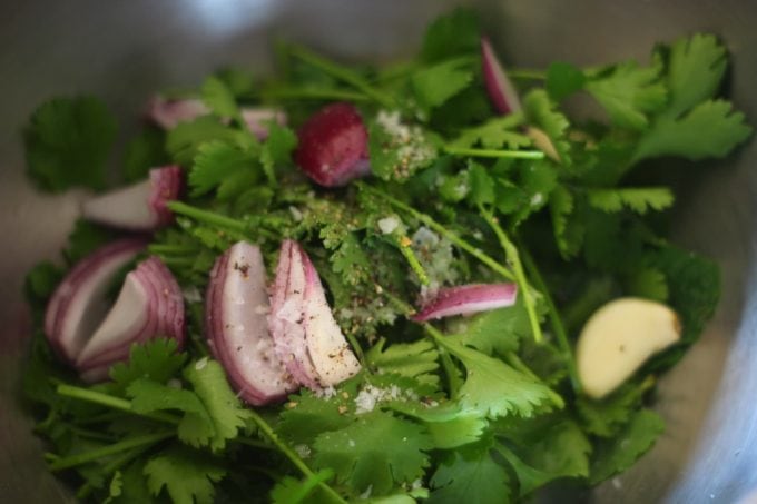 herbs and onion in a food processor