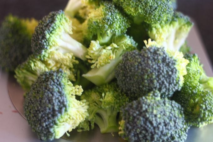 Bite size Broccoli Bite size Broccoli for Cheesy Chicken Pasta