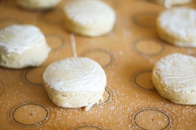 shortcake rounds brushed with cream on a baking tray