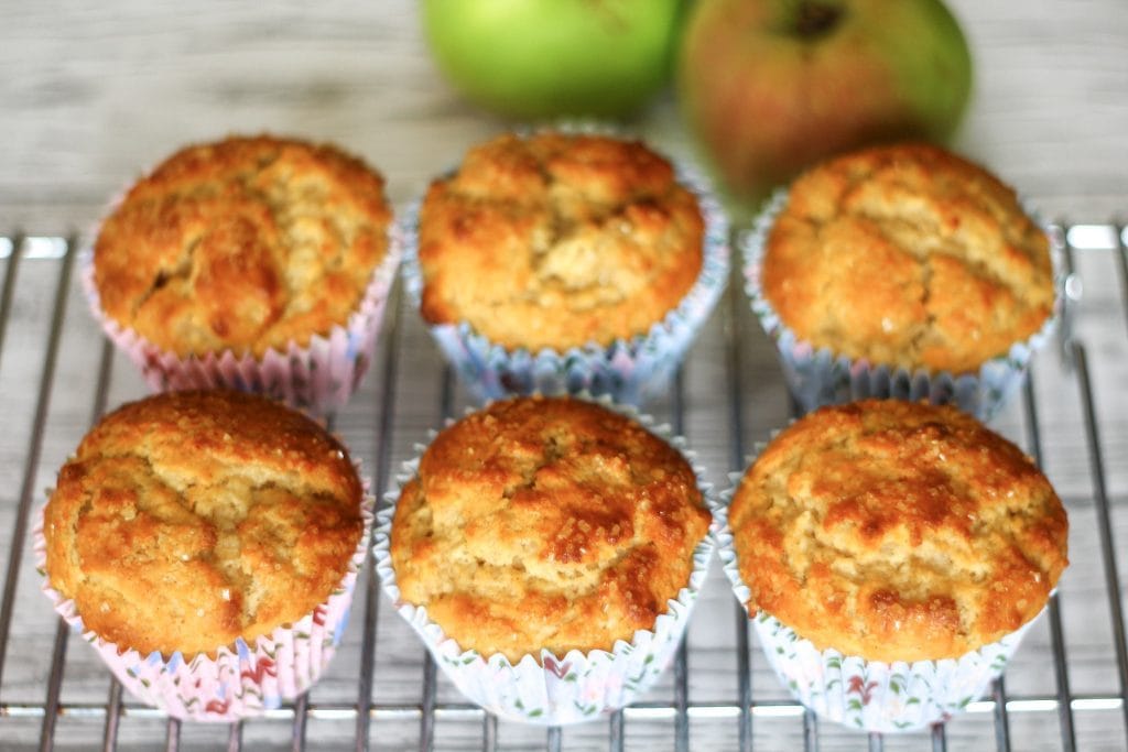 apple muffin apple muffins