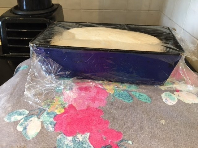 bread dough start of prove in loaf tin covered in clingfilm