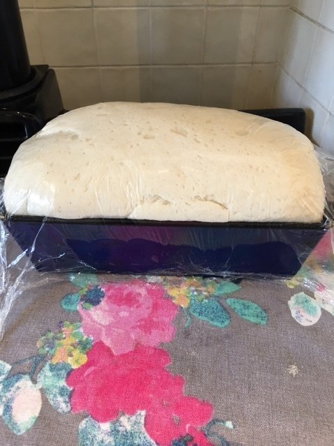 bread dough proved in loaf tin covered in clingfilm