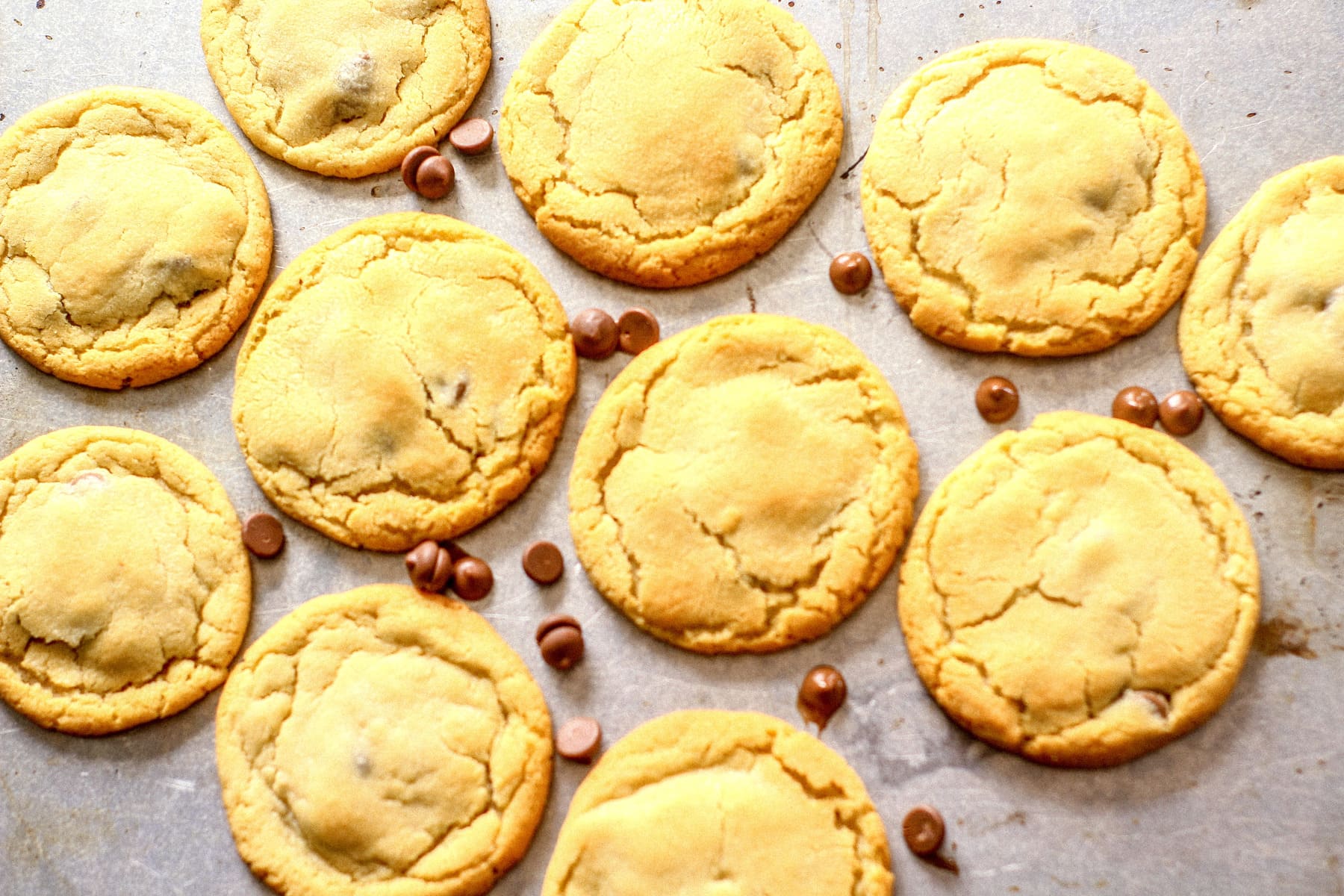 Peanut Butter Chocolate Chip Cookies on a baking tray with chocolate drops