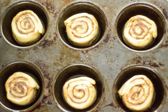 cinnamon rolls in muffin tray at beginning of final prove