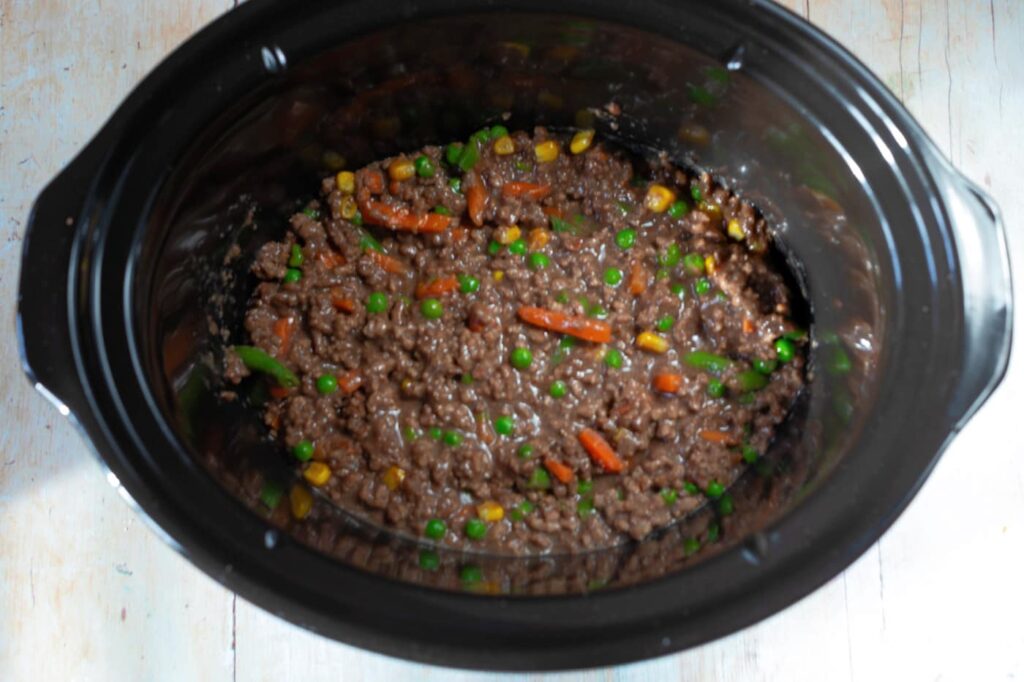 Easy Slow Cooker Savoury Mince Apply to Face Blog